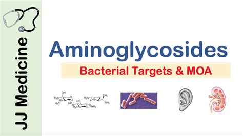 Aminoglycosides | Bacterial Targets, Mechanism of Action, Side Effects - YouTube