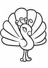 Free & Easy To Print Peacock Coloring Pages  Tulamama sketch template
