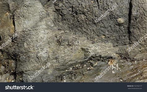 Sedimentary Rock Pattern Texture Stock Photo 732760177 | Shutterstock