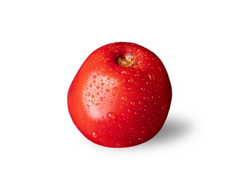 Homemade Tomato isolated. Tomato on white or invisible png background. Tomat side view. Tomato ...