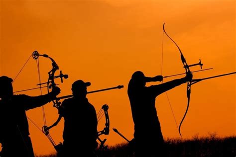 The Ultimate Guide to Bow Hunting Tips in (2024)