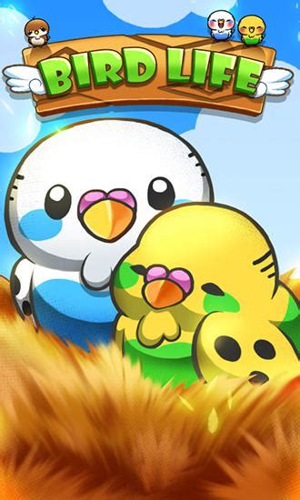 Bird life for Android - Download APK free