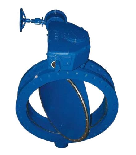 Blue 5 Inch Socket Joint Cast Iron Butterfly Valve For Industrial Uses at Best Price in Pune ...