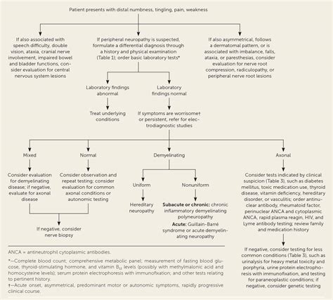 Peripheral Neuropathy: Evaluation and Differential Diagnosis | AAFP