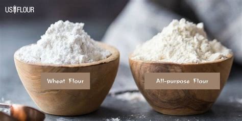 Explain the differences between all-purpose flour and wheat flour - US Flour Corp