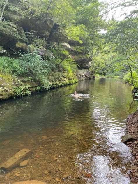 Shawnee National Forest | Roads End Naturalist