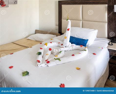 Hotel Room in Egypt, Funny Swan Stock Photo - Image of colorful ...