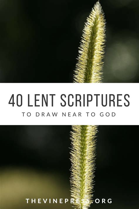 40 Scriptures for Lent | Lent devotional, 40 days of lent, Lent