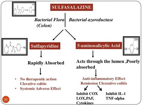 sulfoamide