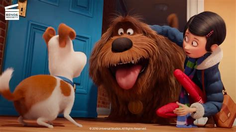 The Secret Life of Pets: Max, this is Duke! (HD CLIP) - YouTube