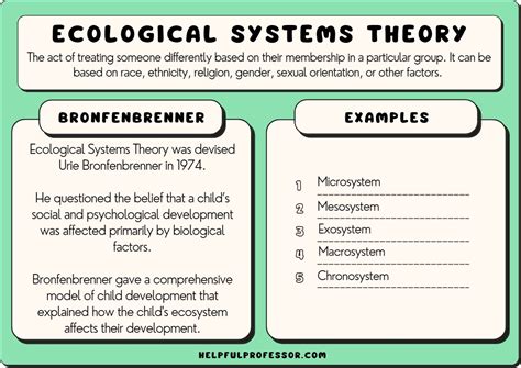 Bronfenbrenner's Ecological Systems Theory (Pros & Cons)