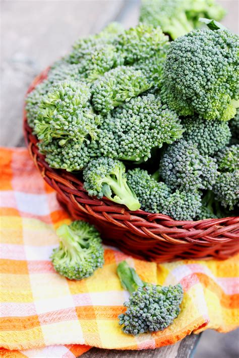 Super foods, the ultimate health foods – the benefits of Broccoli - Catherine Saxelby's Foodwatch