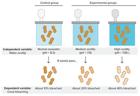 😍 Features of experimental research. Research Design: Experimental and Non. 2019-01-16