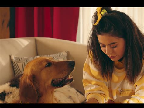 Marshmello Shows Bond Between Woman and Pet Dog in Tear-Jerking ‘Happier’ Video