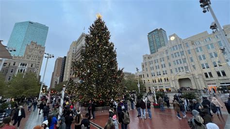 Texas' tallest live Christmas tree is up in Fort Worth's Sundance ...