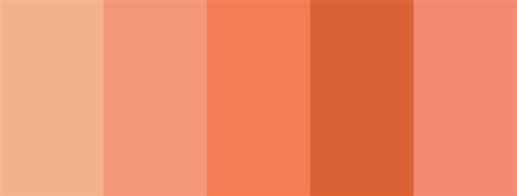 terracotta color palette - Aestheticcolorpalette