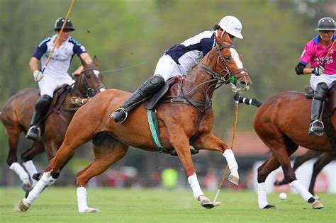 Pin by James Wetherspoon Hendricks on Polo | Polo horse, Polo club, Polo pony