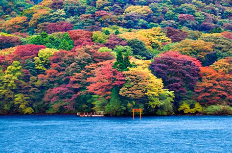 Ashi Lake, Japan by Ricardo Bevilaqua / 500px