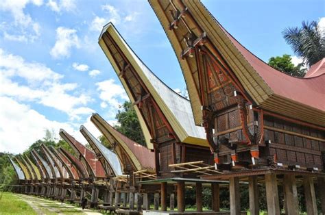 Rumah Adat Toraja: Bentuk Desain dan Segala Keunikannya