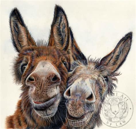 Donkey Gifts – Donkey Wise in 2020 | Animal drawings, Donkey drawing ...