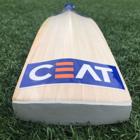 CEAT "Speed Master" Cricket Bat – Cricket Gear Direct