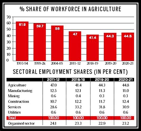 Employment Rate In India 2024 - Kara Merissa