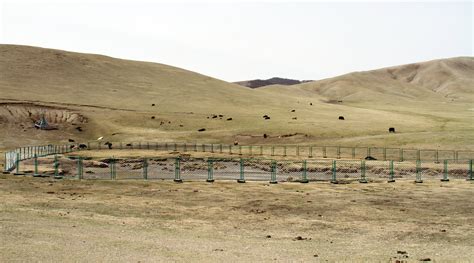 Impacts of Changing Climate on Mongolia’s nomadic herder | United Nations Development Programme