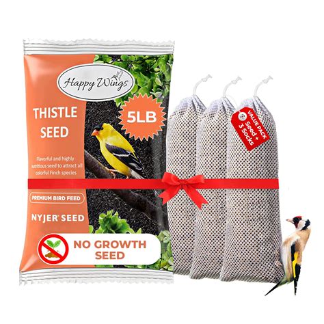 10 Best Thistle Bird Seed for Attracting Finches and Other Small Birds - Hummingbirds Plus