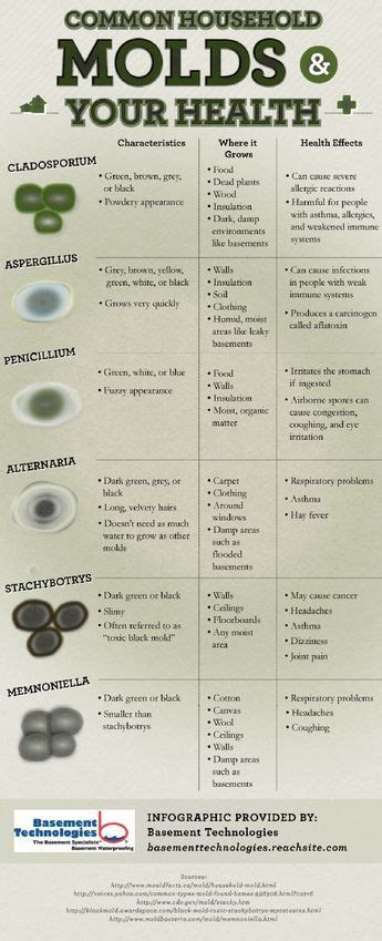 A listing of the different types of mold and associated characteristics ...