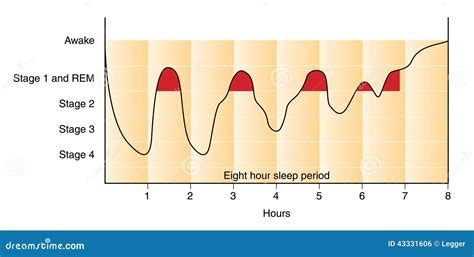 Sleep Graph Stock Illustration - Image: 43331606