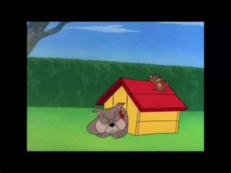Tom and Jerry 72 Episode The Dog House 1952 Capitulo Invertido - YouTube