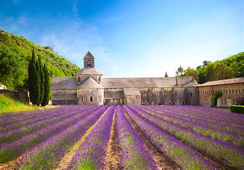 French Countryside Wallpaper - Gezegen lersavasi