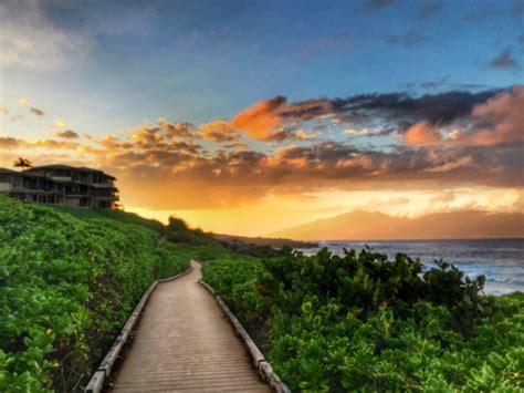 West Maui Living: Courtney’s Insider Tips : Maui Now