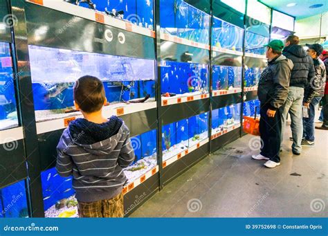 Fish tanks in pet store editorial stock photo. Image of aquarium - 39752698