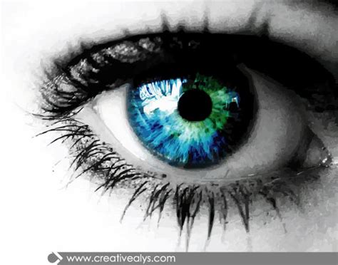 Realistic Vector Eye – Creative Alys