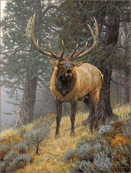 Bull elk oil painting by wildlife artist Bruce Miller | Wildlife ...