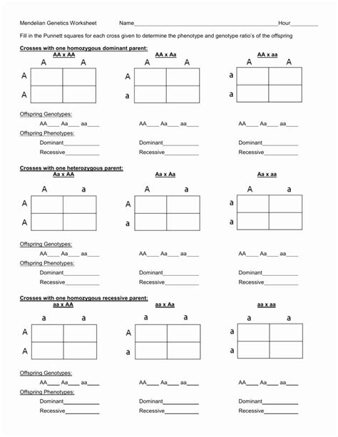 Learn About Mendelian Genetics With These Punnett Square Worksheet Answers – Style Worksheets