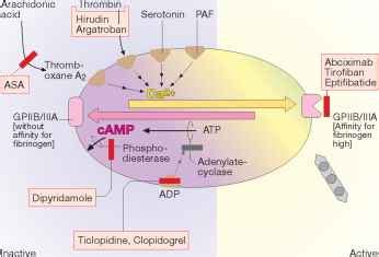 Adverse Effects of Antiplatelet Drugs - Adverse Effects