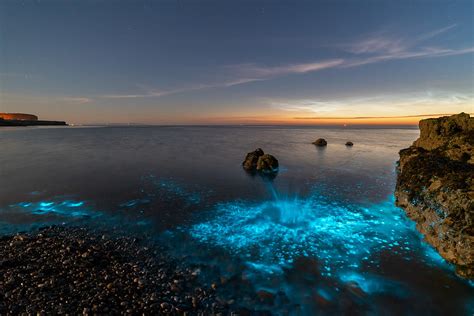 Stunning Images of Bioluminescent Plankton Lighting Up Water