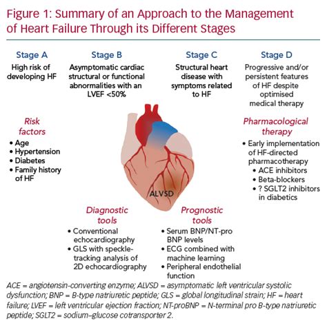 Asymptomatic Left Ventricle Systolic Dysfunction | ECR Journal