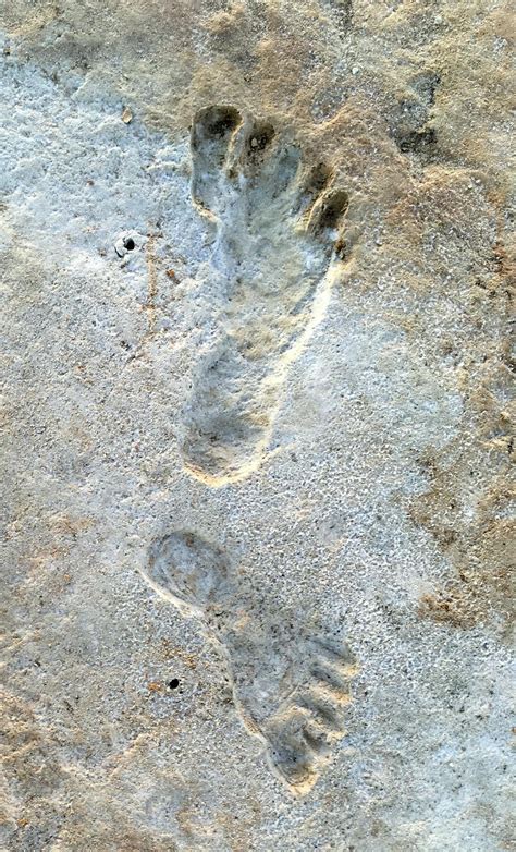 fossil footprint white sands lg | EarthSky