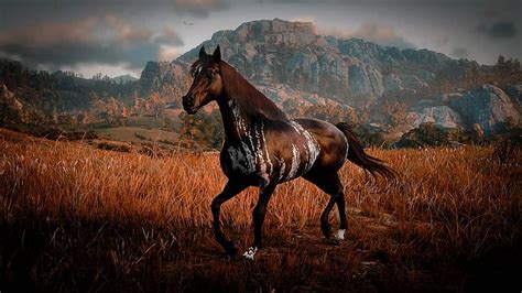 This beautiful Warped Brindle Arabian #rdr #rdr2 #rdrphotography #reddeadredemption2 #red # ...