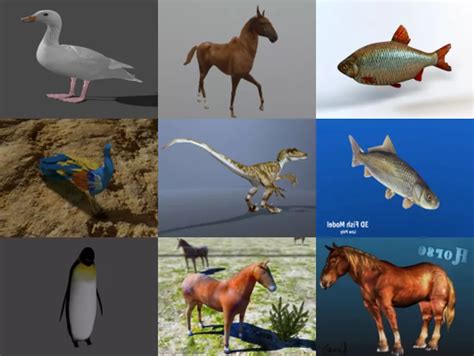 12 Realistic Animal Blender 3D Models Collection - Free Download