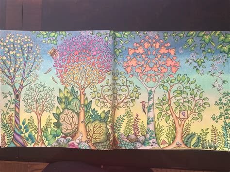 First double page spread of 2020! Johanna Basford’s Enchanted Forest done in Prismacolors. : r ...