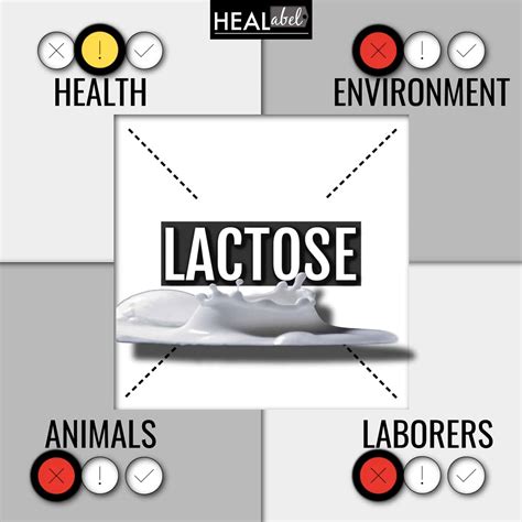 Lactose Benefits + Side Effects