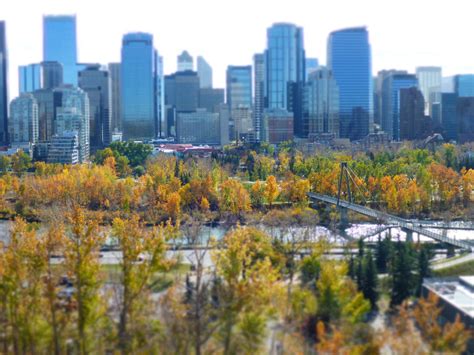 Những địa điểm để đi xem lá vàng ở Calgary - TommyDo