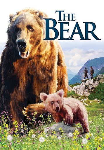 The Bear - Movies on Google Play