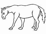 Printable Mule Coloring  Play Free Coloring Game Online sketch template