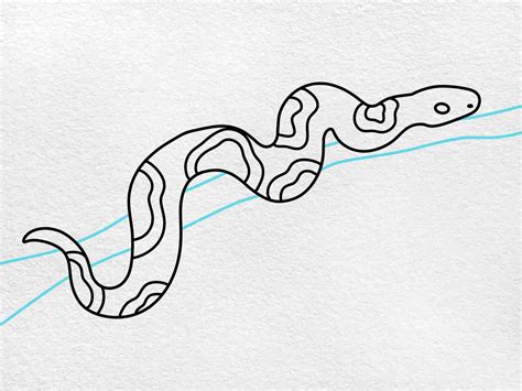 Boa Constrictor Drawing - HelloArtsy