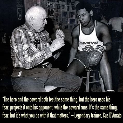 Cus D'Amato Quote | Boxing | Pinterest | Cus d'amato, Quotes and Heroes